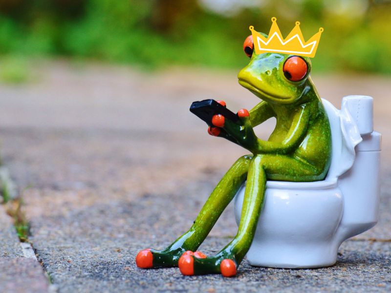 Toilet Cleaning 101: The Ultimate Guide to a Sparkling Throne
